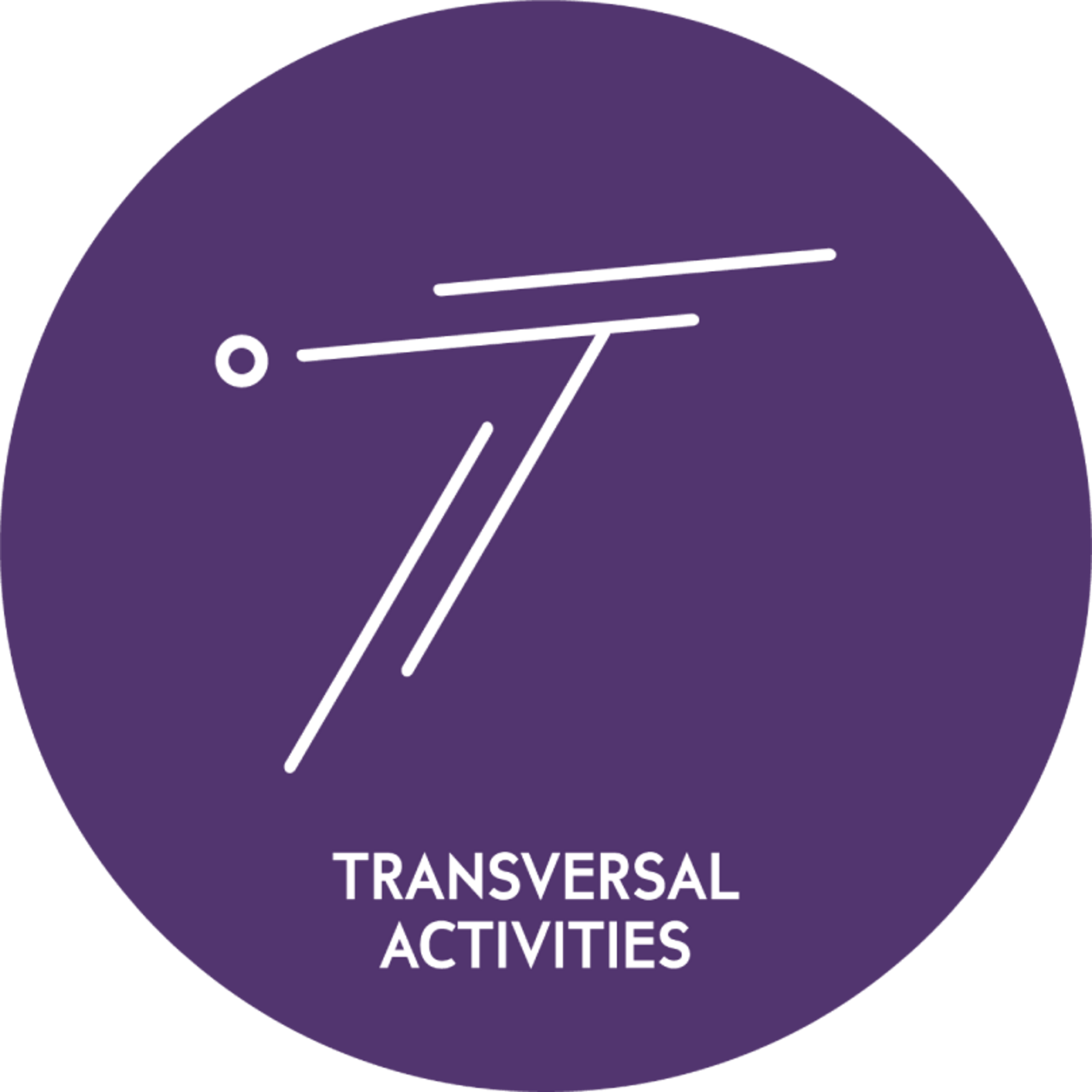 Activités transverses